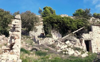 Balade plantes sauvages comestibles et médicinales à l’oppidum de la Quille