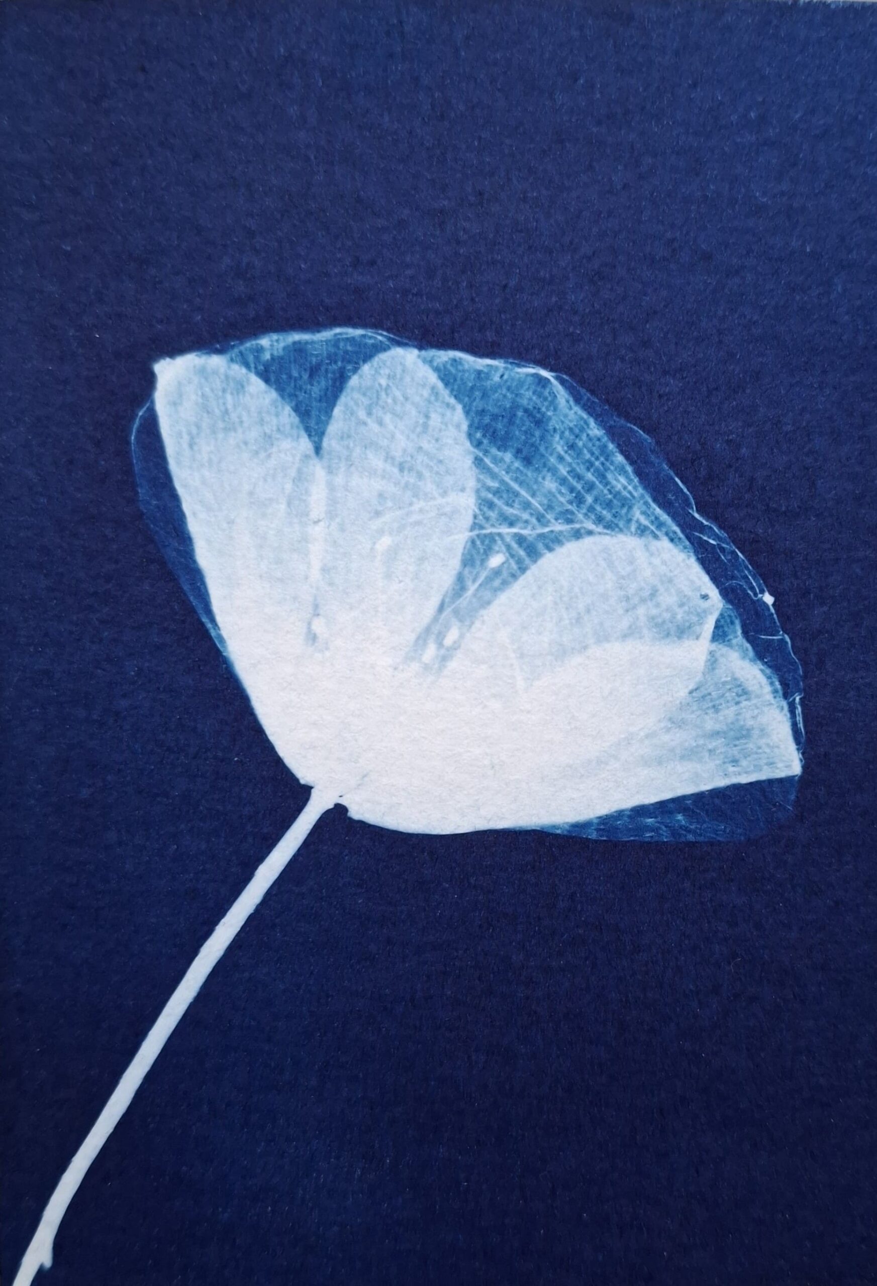 Ruine de Rome éphémère cyanotyp